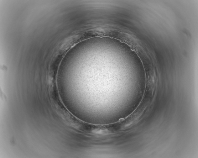 X0000090960749200708091354