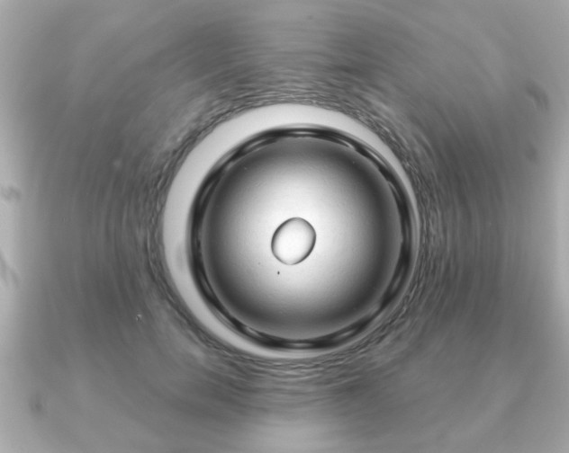 X0000090960750200708091354