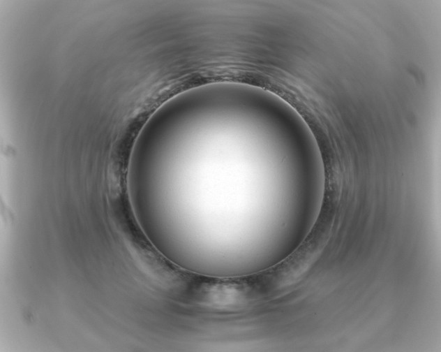 X0000090960751200708091354