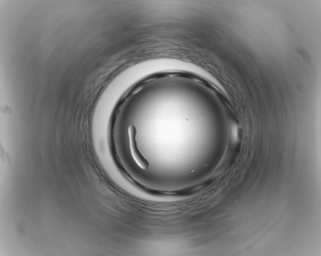X0000090960754200708091354