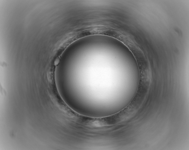 X0000090960755200708091354