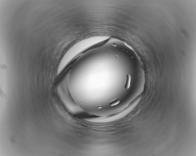 X0000090960758200708091354