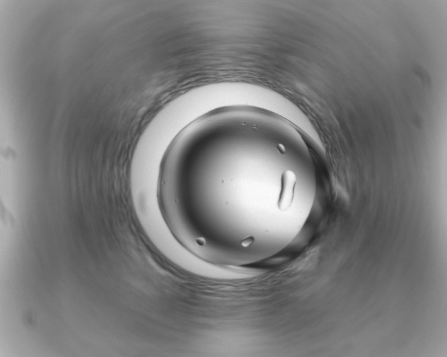 X0000090960760200708091354