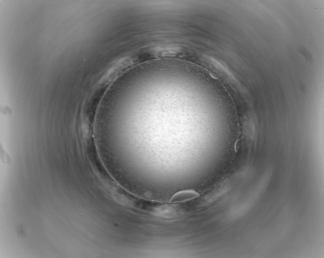 X0000090960761200708091354