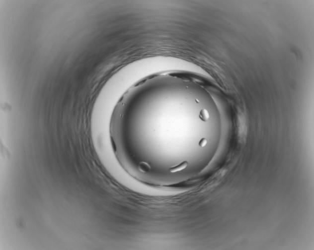 X0000090960762200708091354