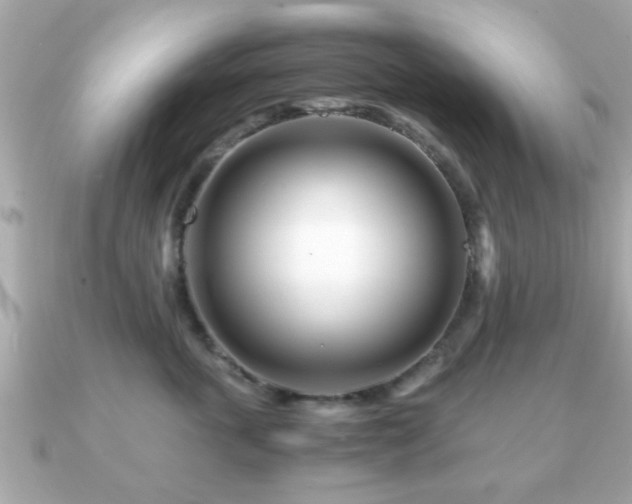 X0000090960763200708091354