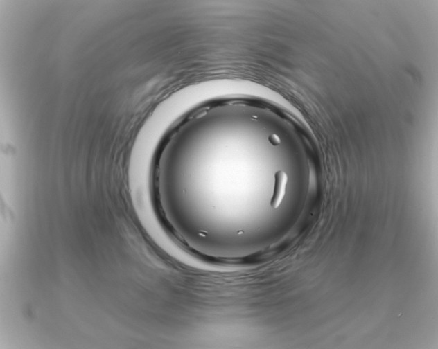 X0000090960764200708091354