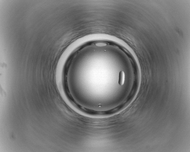 X0000090960766200708091354
