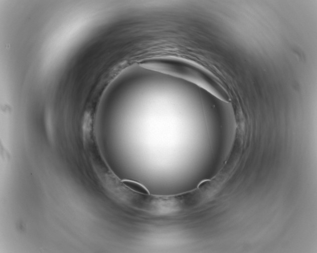 X0000090960767200708091354