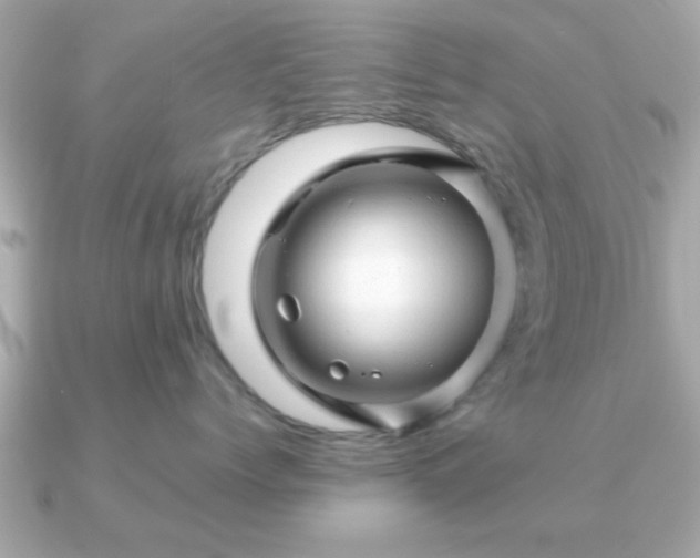 X0000090960768200708091354