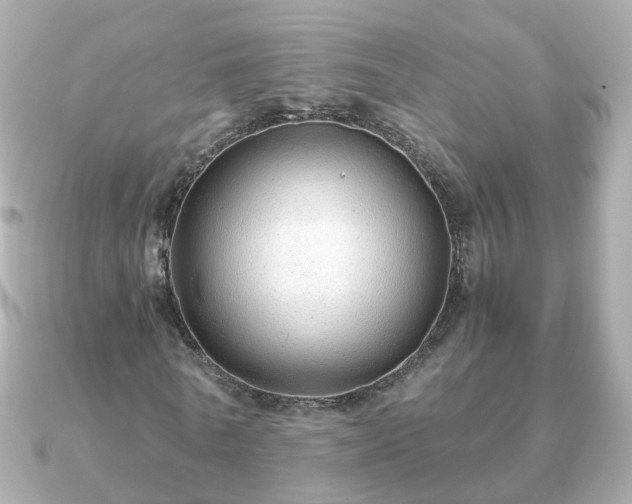 X0000090960770200708091354