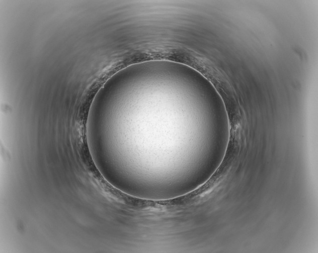 X0000090960772200708091354