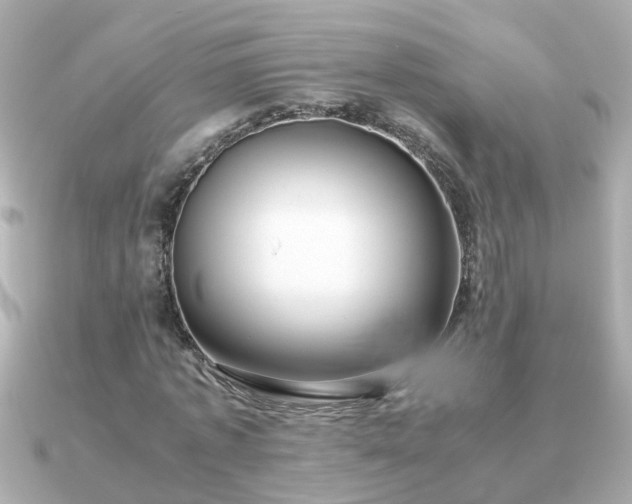 X0000090960773200708091354