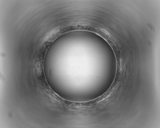 X0000090960774200708091354