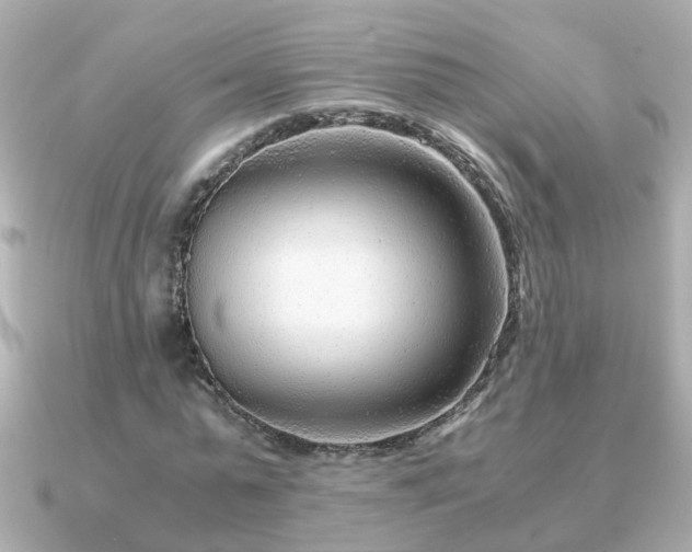 X0000090960775200708091354