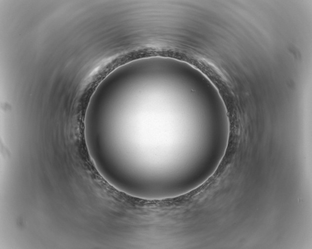 X0000090960776200708091354