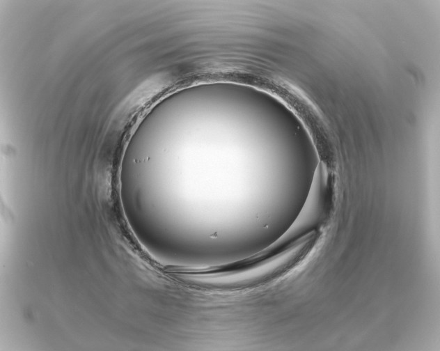 X0000090960777200708091354