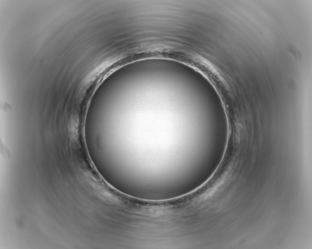 X0000090960778200708091354