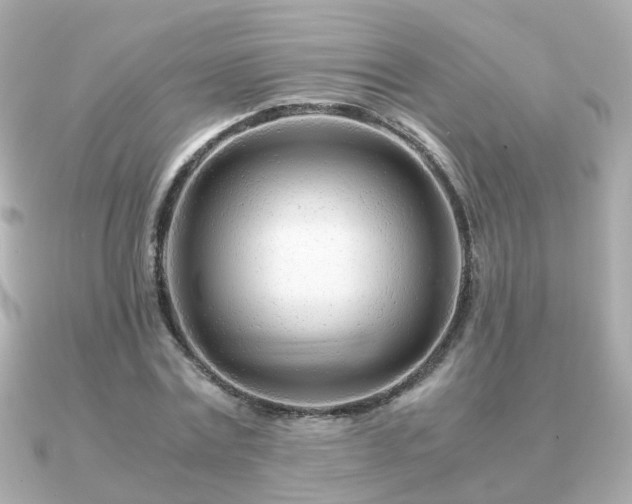 X0000090960779200708091354