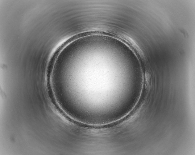 X0000090960780200708091354