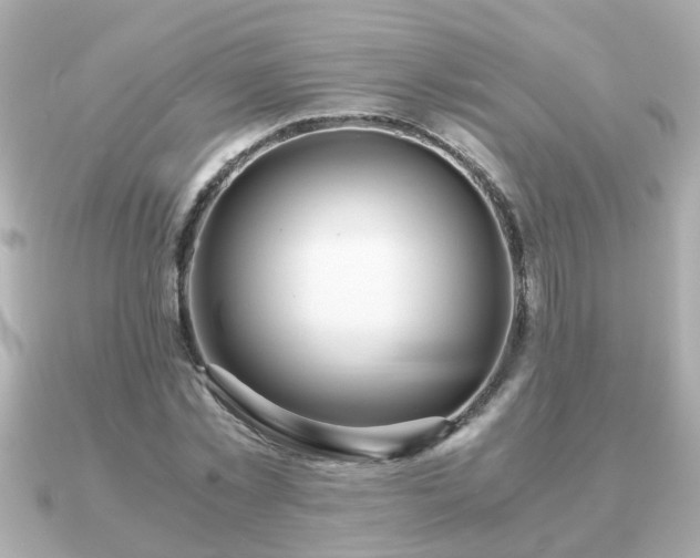 X0000090960781200708091354