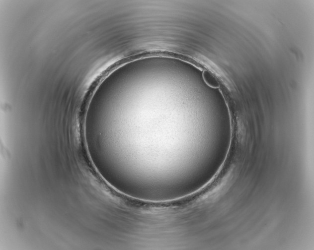 X0000090960782200708091354