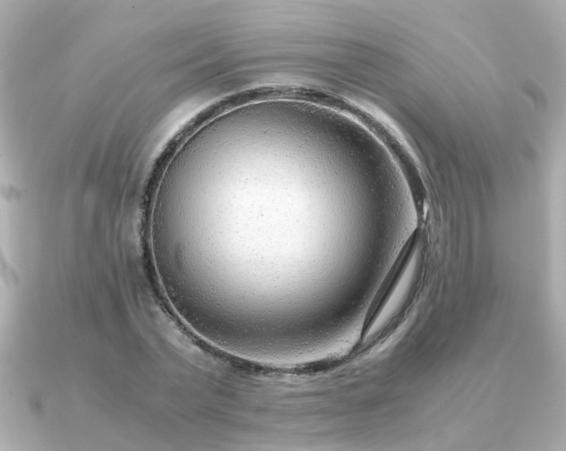 X0000090960783200708091354