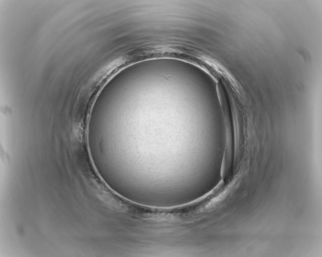 X0000090960785200708091354