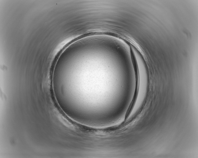 X0000090960787200708091354