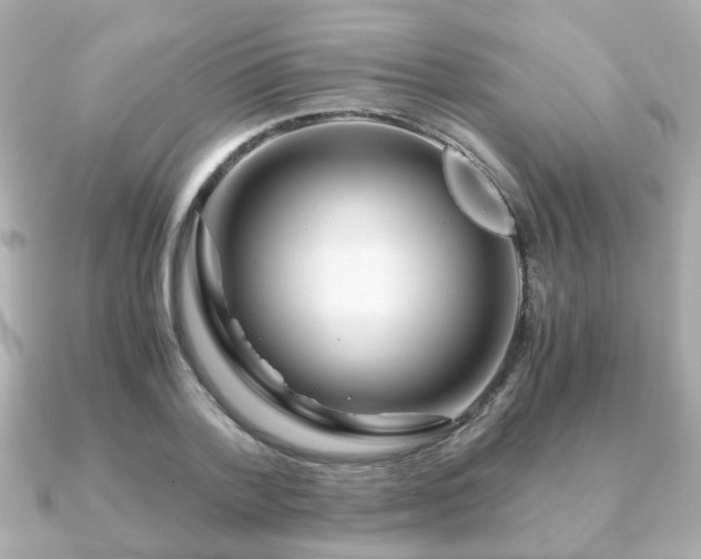 X0000090960788200708091354