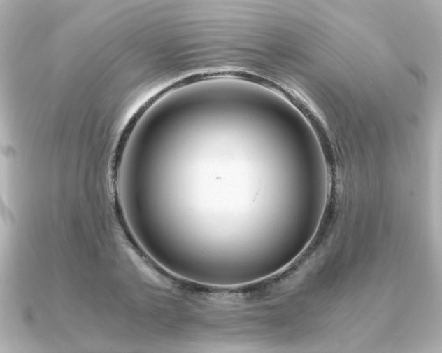 X0000090960789200708091354