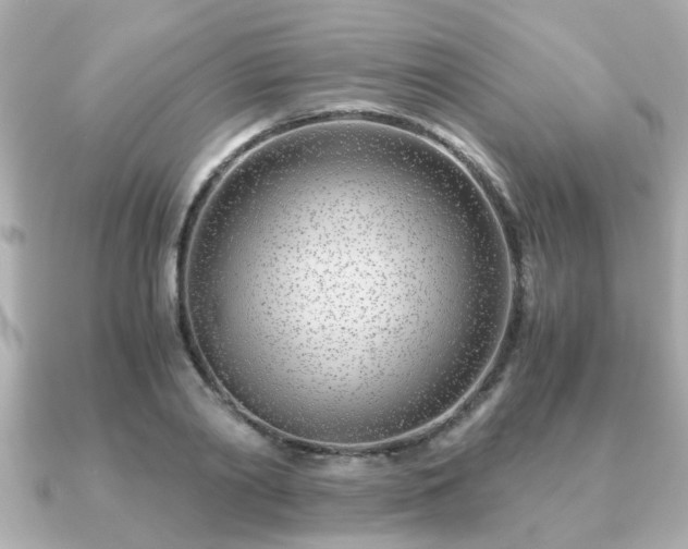 X0000090960790200708091354