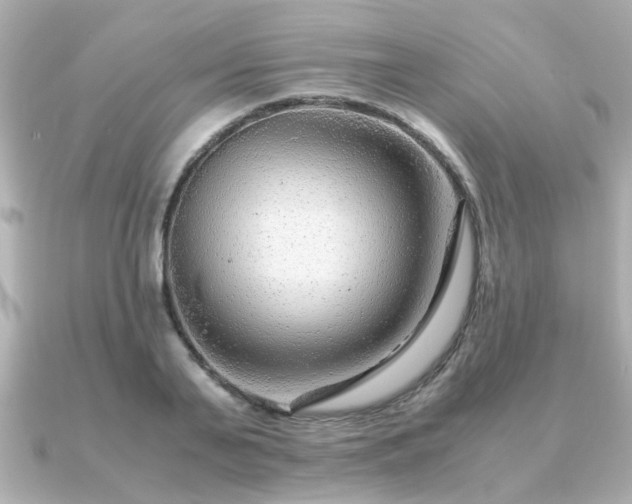 X0000090960791200708091353