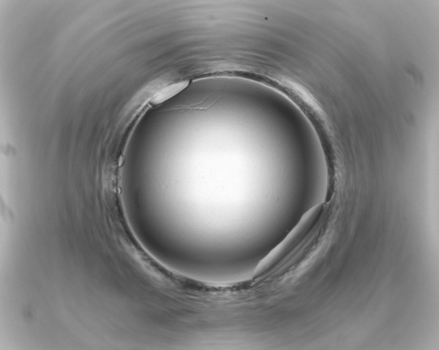 X0000090960793200708091353
