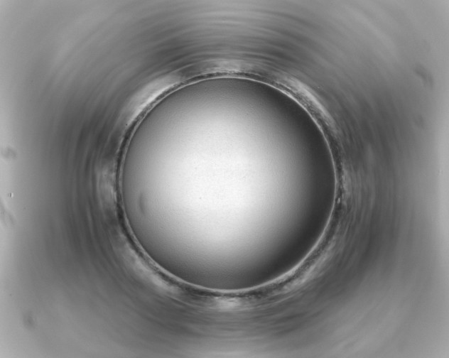 X0000090960794200708091353