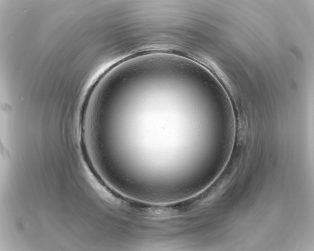 X0000090960795200708091353