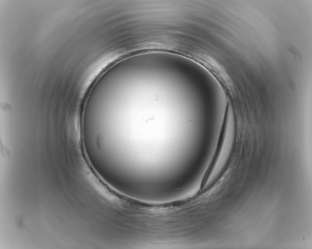 X0000090960796200708091353