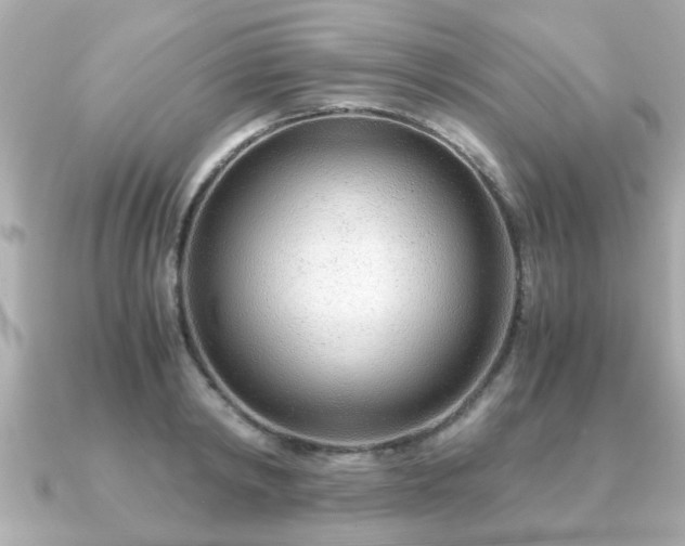 X0000090960798200708091353