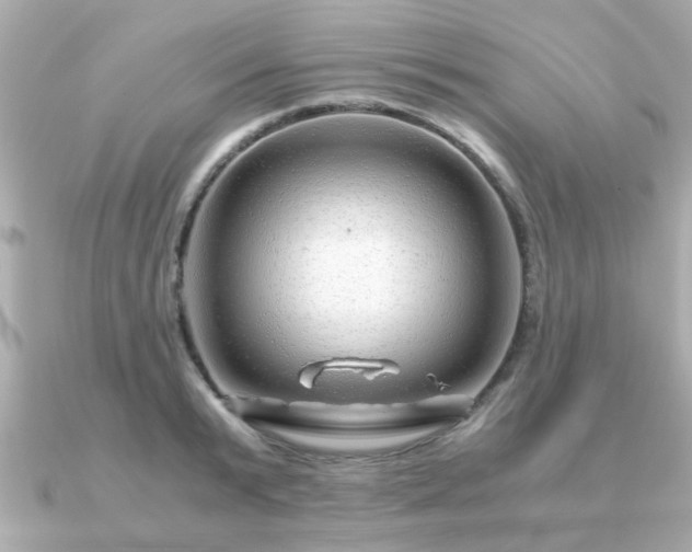 X0000090960799200708091353