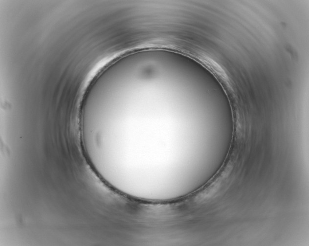 X0000090960800200708091353