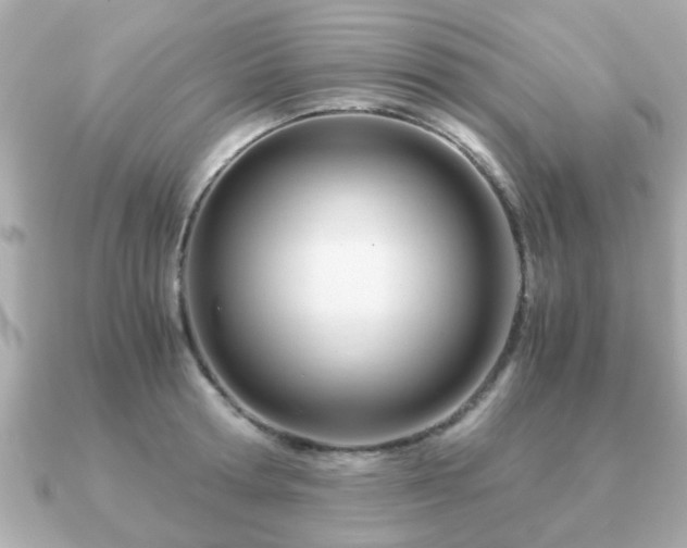 X0000090960802200708091353