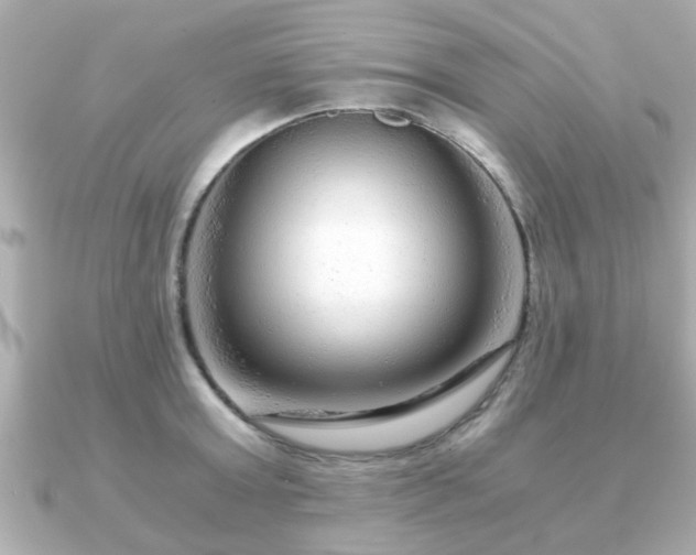 X0000090960803200708091353