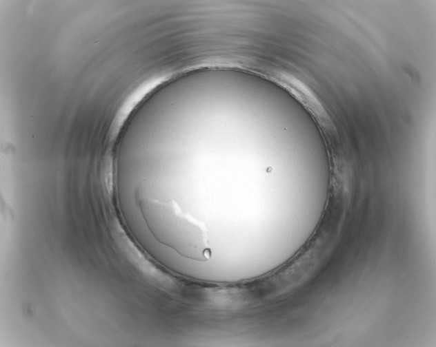 X0000090960804200708091353