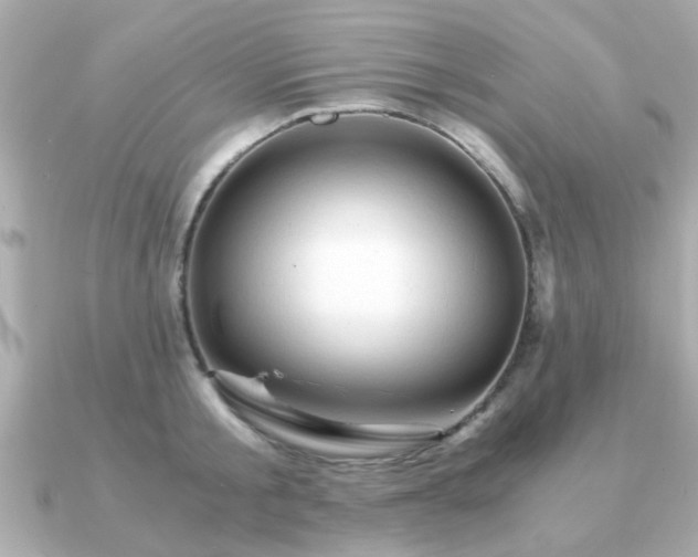 X0000090960805200708091353