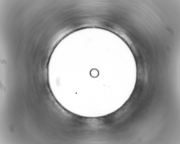 X0000090960807200708091353