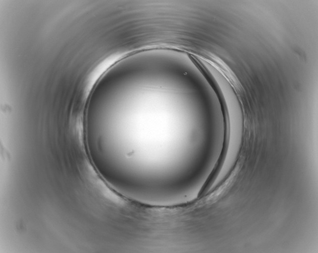 X0000090960812200708091353