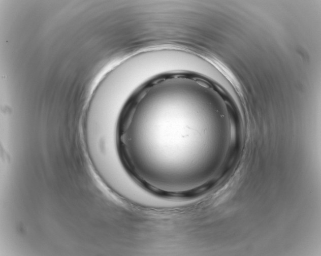 X0000090960813200708091353