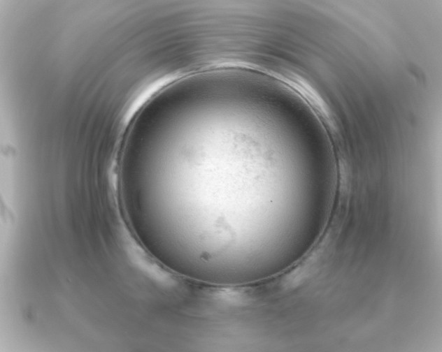 X0000090960814200708091353