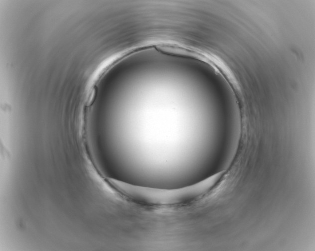 X0000090960815200708091353