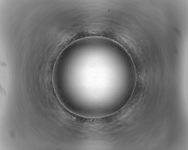 X0000090960817200708091353